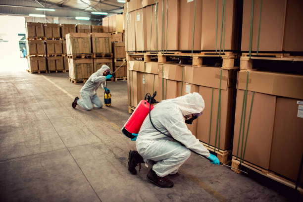 Best Insect Control  in Chebanse, IL