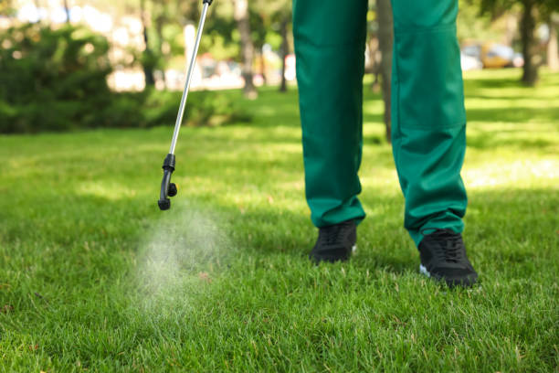 Best Commercial Pest Control Services  in Chebanse, IL