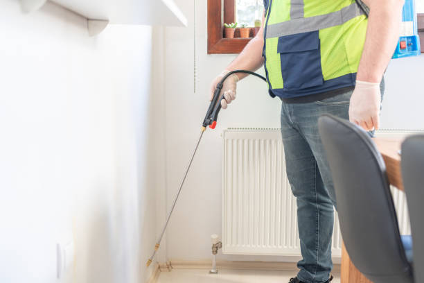 Best Cockroach Control Services  in Chebanse, IL
