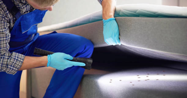 Best Wasp Removal Services  in Chebanse, IL
