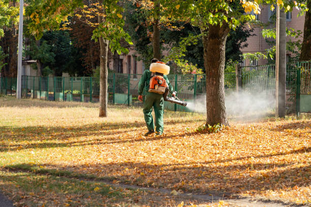 Best Bird Control  in Chebanse, IL