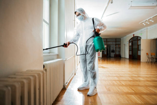 Best Local Pest Control Services  in Chebanse, IL