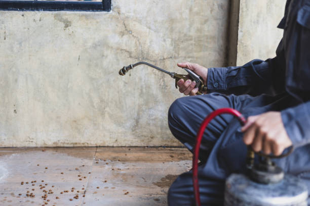Best Best Pest Control Companies  in Chebanse, IL